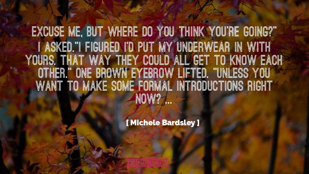 Introductions Into quotes by Michele Bardsley