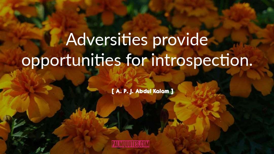 Introspection quotes by A. P. J. Abdul Kalam