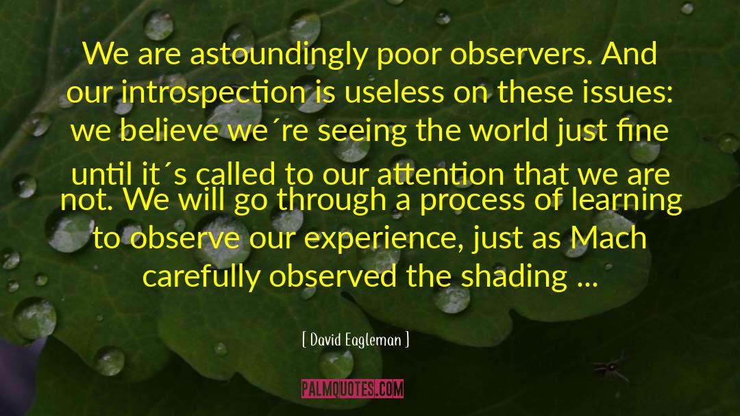 Introspection quotes by David Eagleman