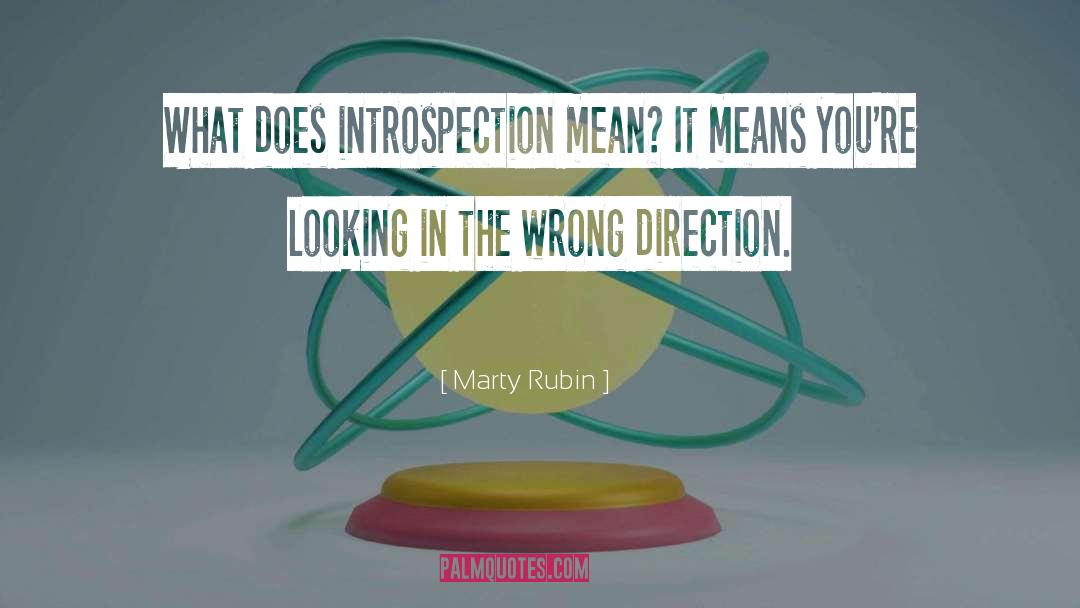 Introspection quotes by Marty Rubin
