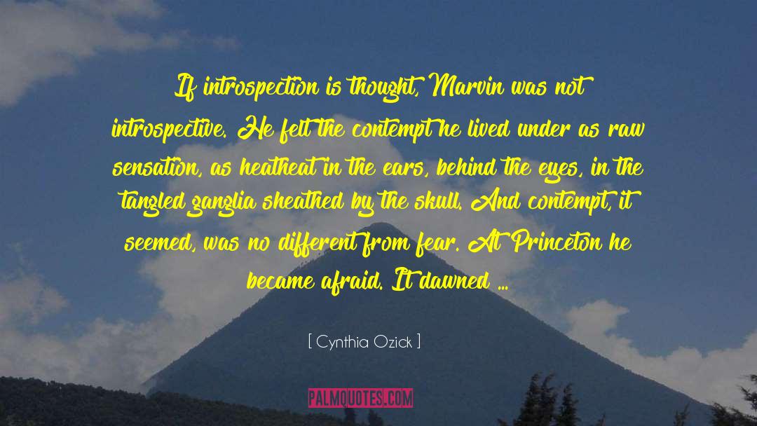 Introspective quotes by Cynthia Ozick