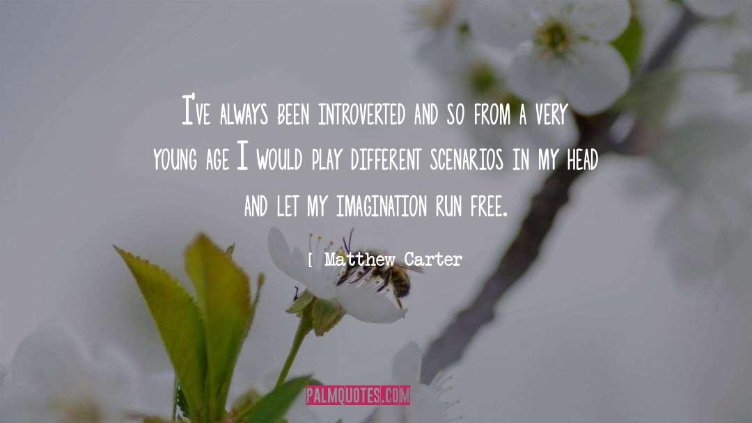 Introverted quotes by Matthew Carter