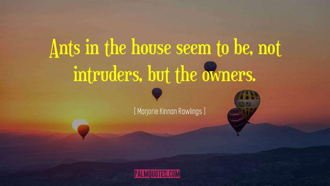 Intruders quotes by Marjorie Kinnan Rawlings