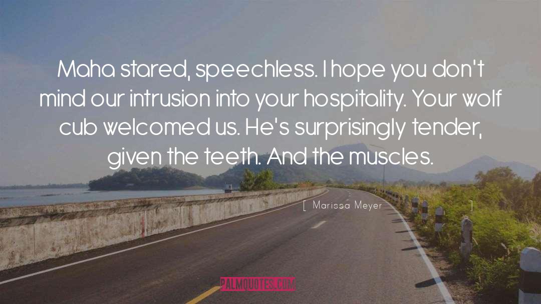Intrusion quotes by Marissa Meyer
