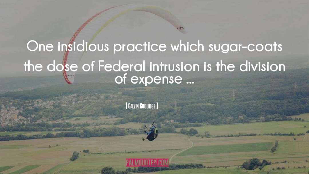 Intrusion quotes by Calvin Coolidge