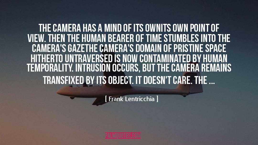 Intrusion quotes by Frank Lentricchia