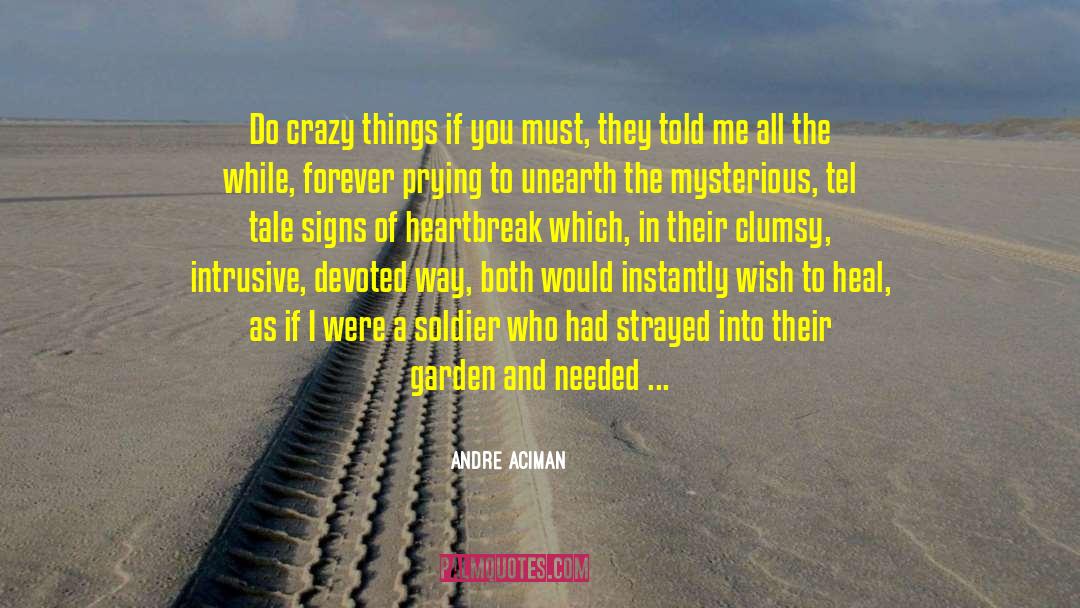 Intrusive quotes by Andre Aciman