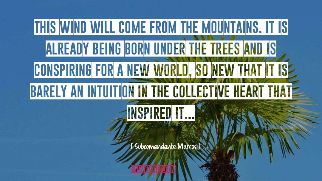 Intuition quotes by Subcomandante Marcos