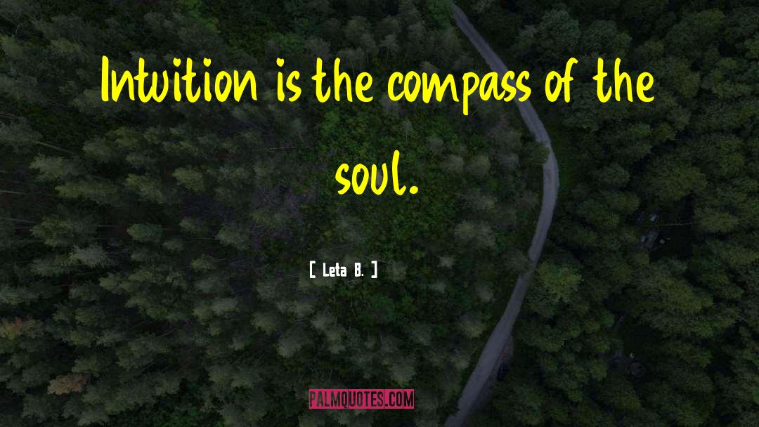 Intuition Soul quotes by Leta B.