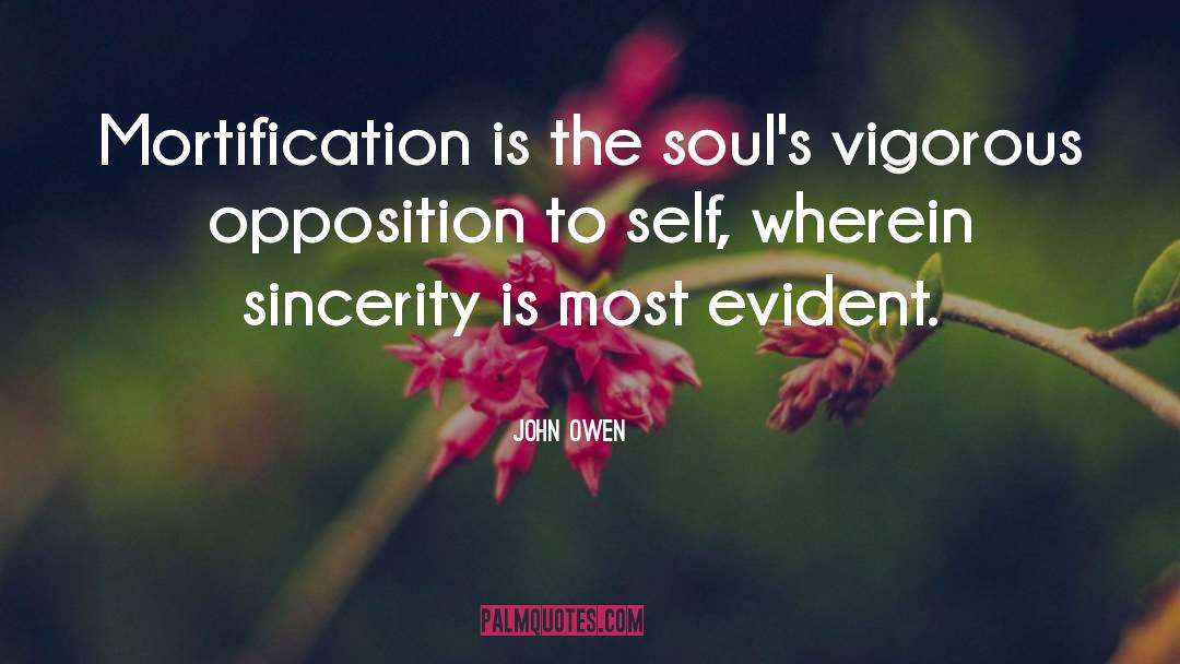 Intuition Soul quotes by John Owen