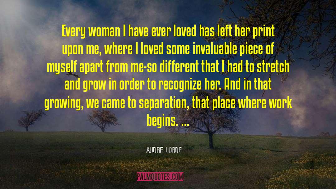 Invaluable Contribution quotes by Audre Lorde