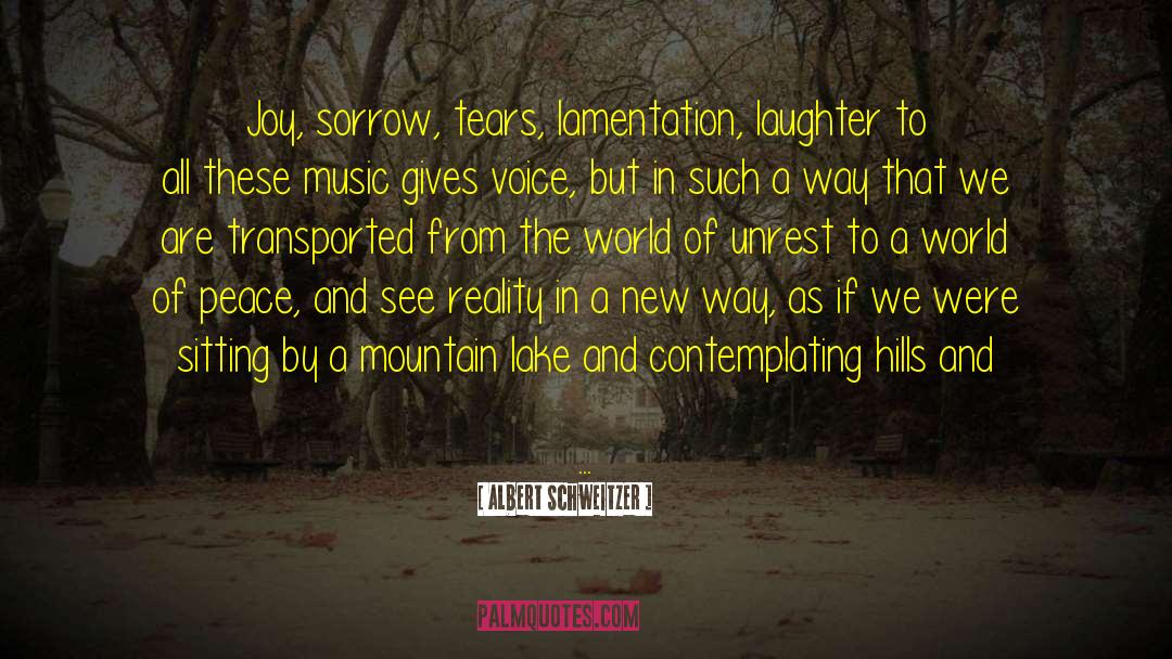 Investigation Of Reality quotes by Albert Schweitzer