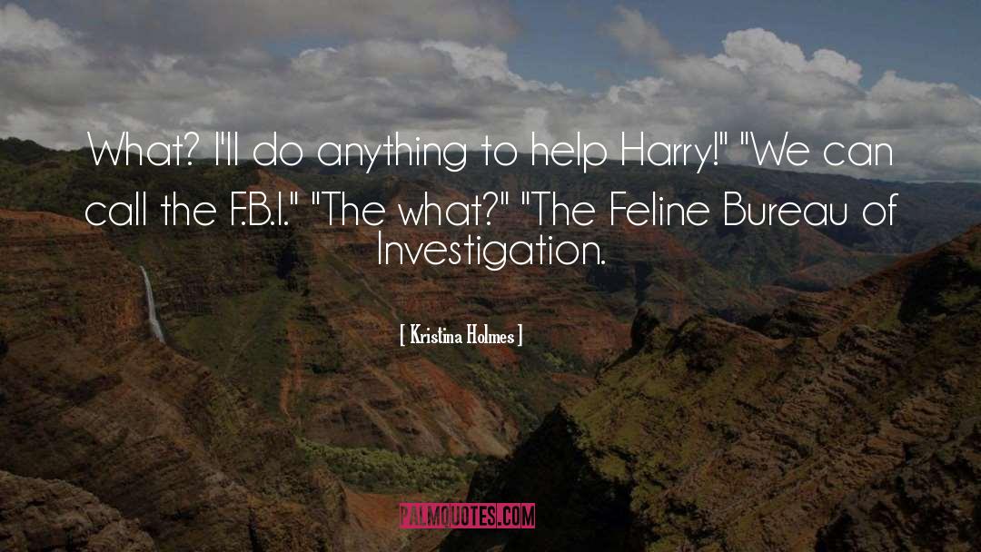 Investigation quotes by Kristina Holmes
