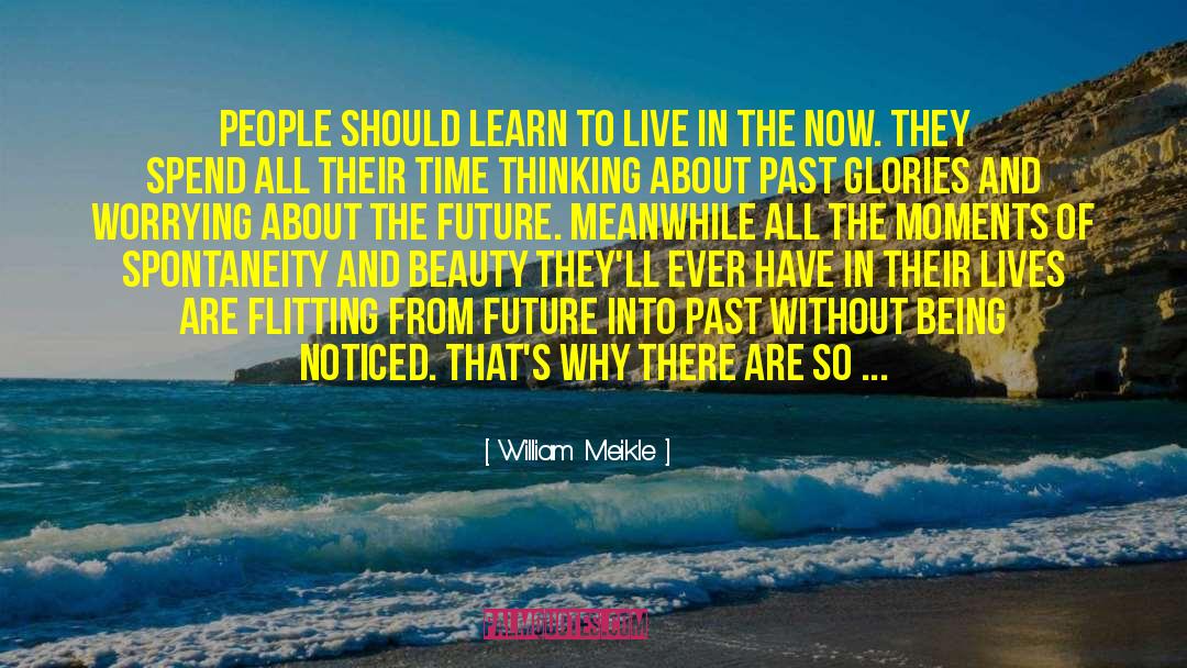 Investing In The Future quotes by William Meikle