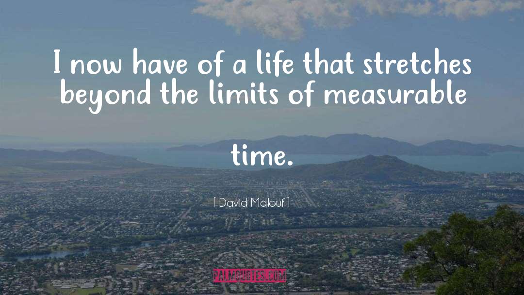 Investment Of Time quotes by David Malouf