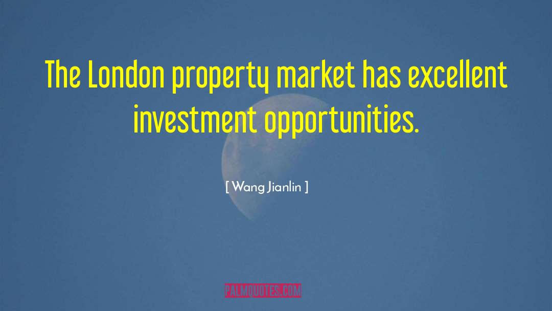 Investment Property Management quotes by Wang Jianlin