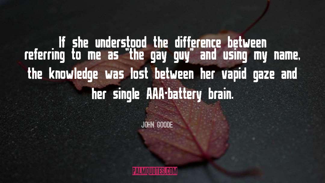 Invisibility quotes by John Goode