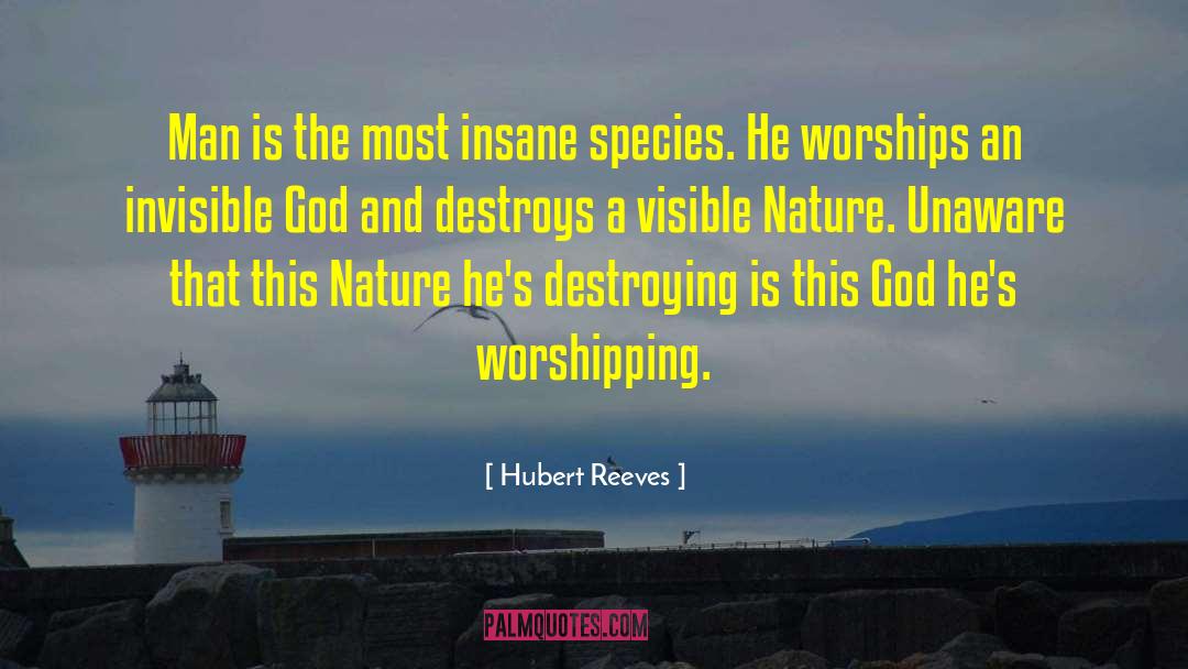 Invisible God quotes by Hubert Reeves