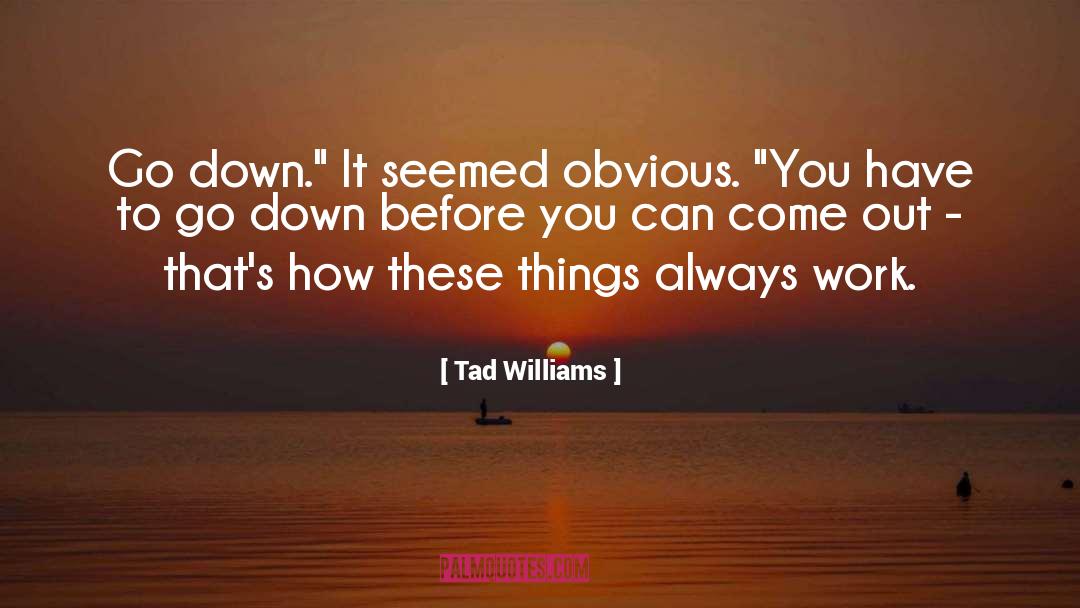 Invisible Things quotes by Tad Williams