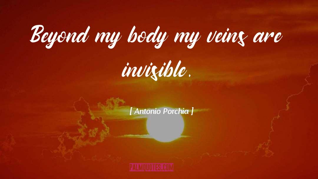 Invisible Things quotes by Antonio Porchia