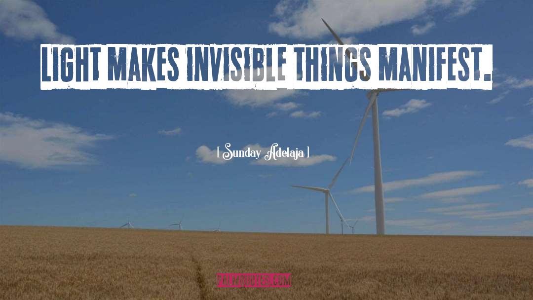 Invisible Things quotes by Sunday Adelaja