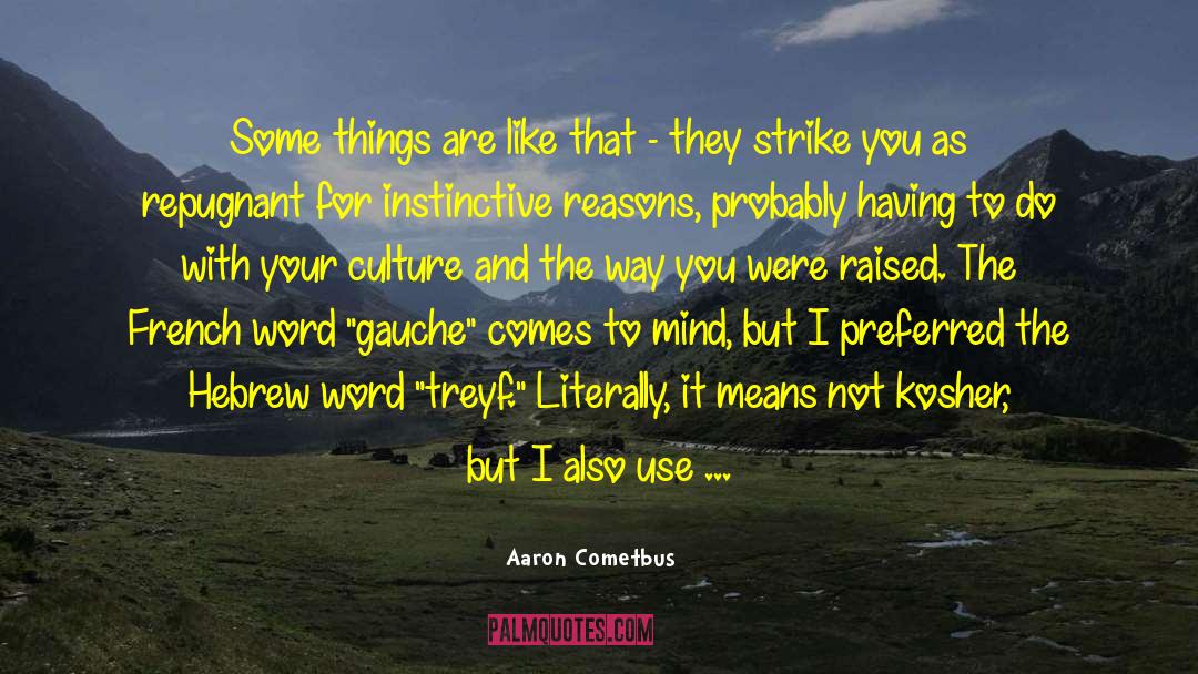 Invisible Things quotes by Aaron Cometbus