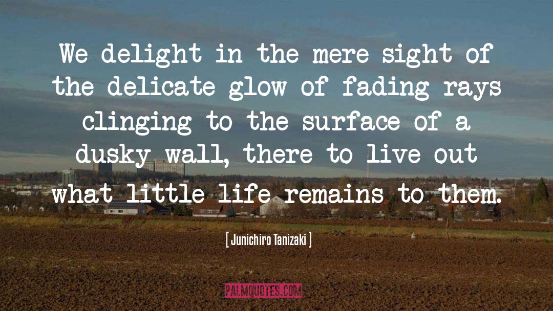 Invisible Wall quotes by Junichiro Tanizaki
