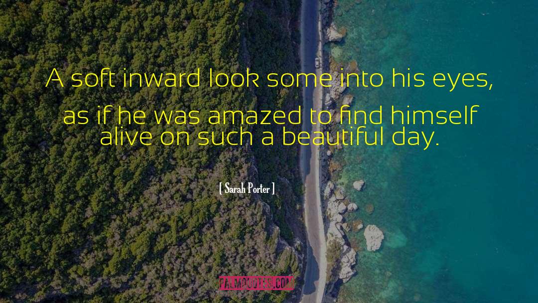 Inward Look quotes by Sarah Porter