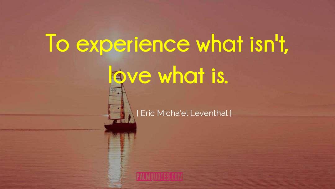Ip Awareness quotes by Eric Micha'el Leventhal
