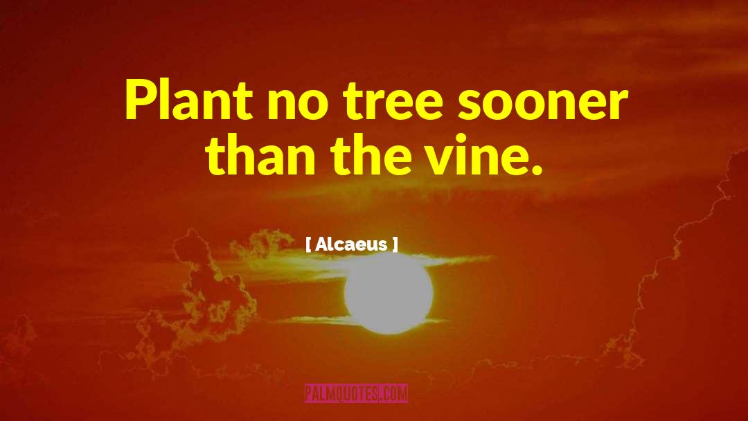 Ipecac Plant quotes by Alcaeus
