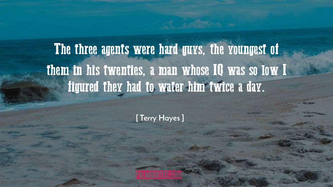 Iq quotes by Terry Hayes