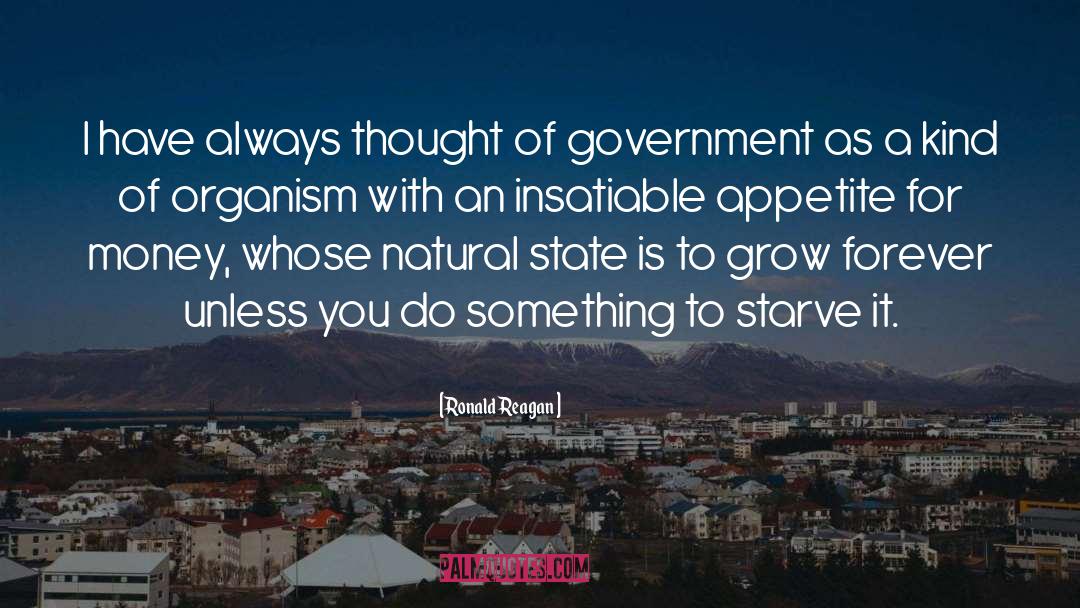 Iraqi State quotes by Ronald Reagan