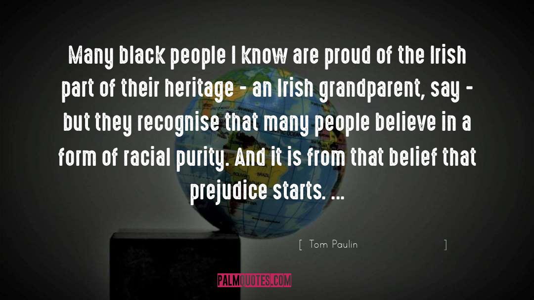 Ireland And The Irish quotes by Tom Paulin