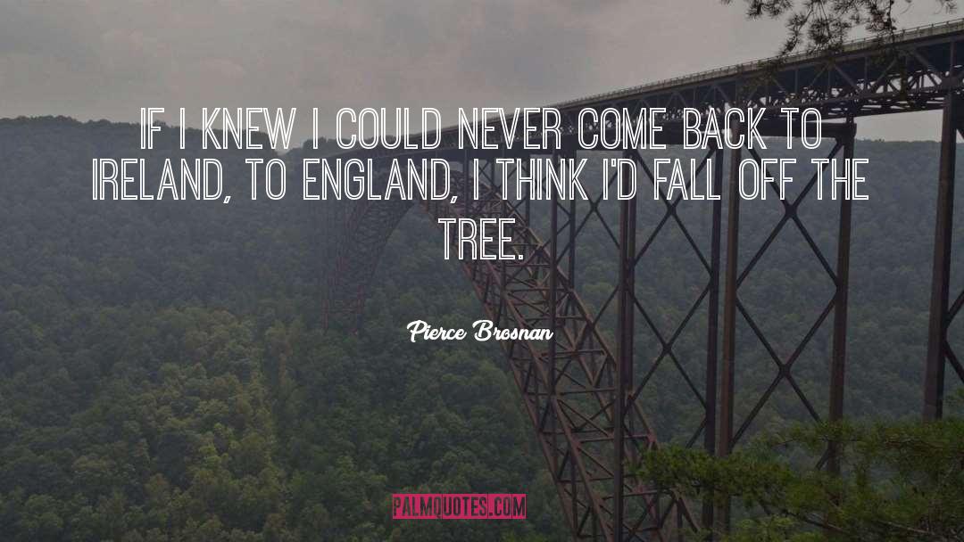 Ireland quotes by Pierce Brosnan