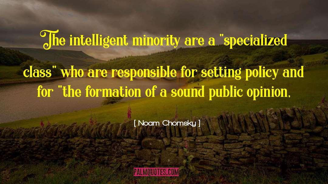 Ireland Setting quotes by Noam Chomsky