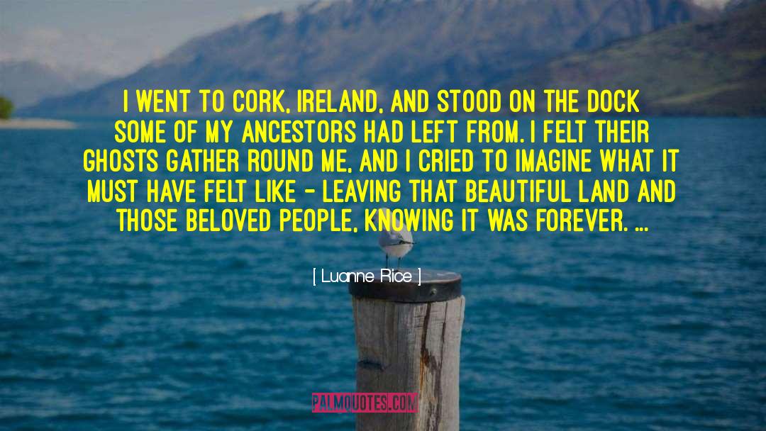 Ireland Travel quotes by Luanne Rice