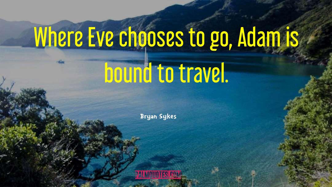 Ireland Travel quotes by Bryan Sykes