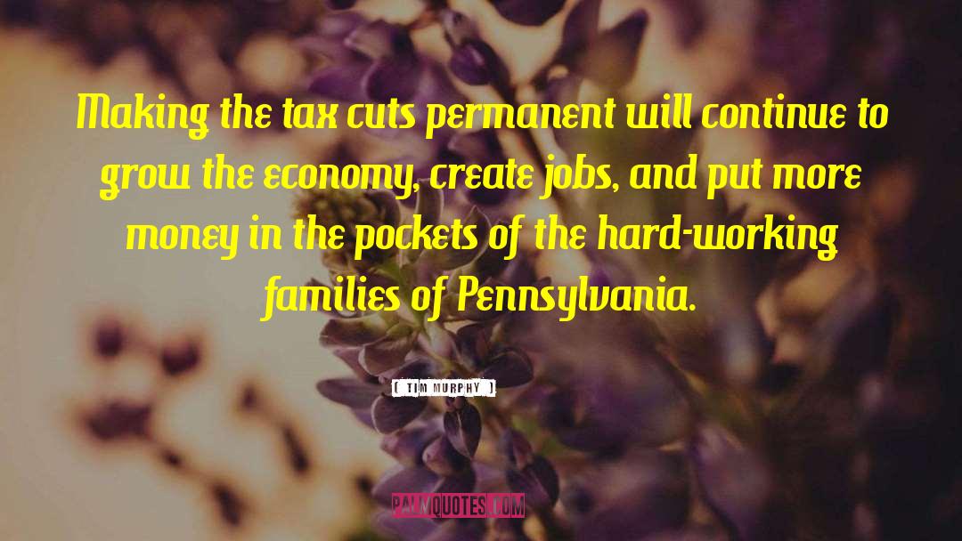 Irelands Economy quotes by Tim Murphy