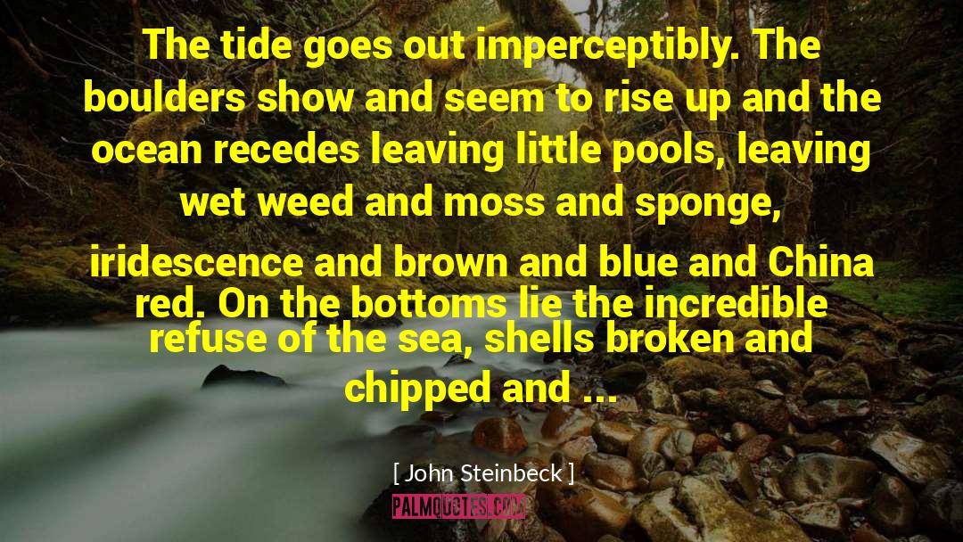 Iridescence quotes by John Steinbeck