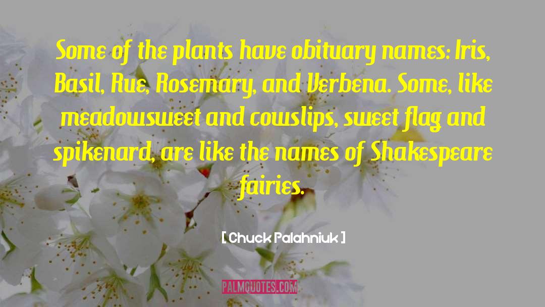 Iris And Raphael quotes by Chuck Palahniuk