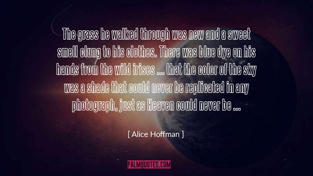 Irises quotes by Alice Hoffman