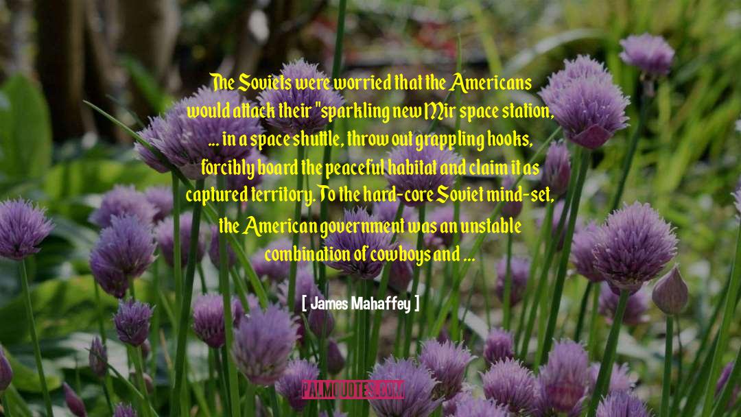 Irish Americans quotes by James Mahaffey