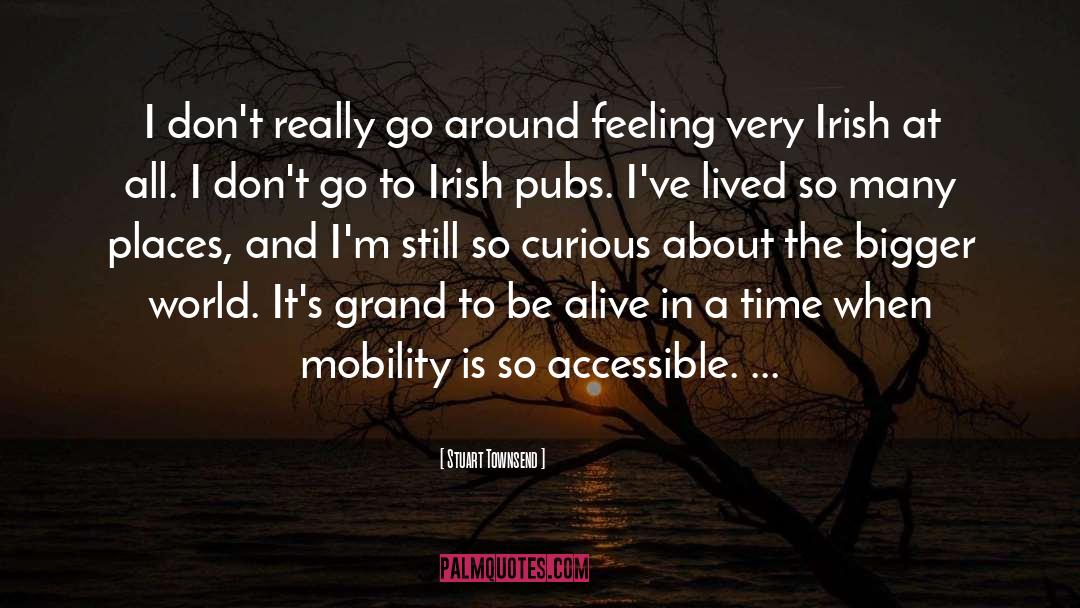 Irish Beer quotes by Stuart Townsend