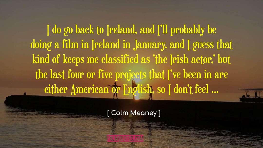 Irish Culture Irish In American quotes by Colm Meaney