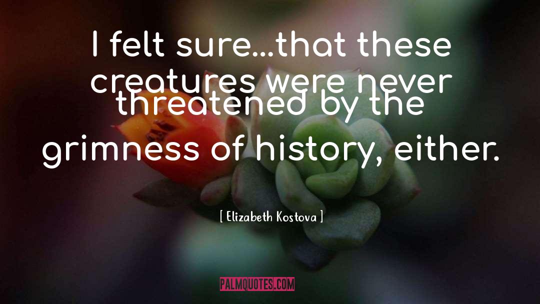 Irish History quotes by Elizabeth Kostova