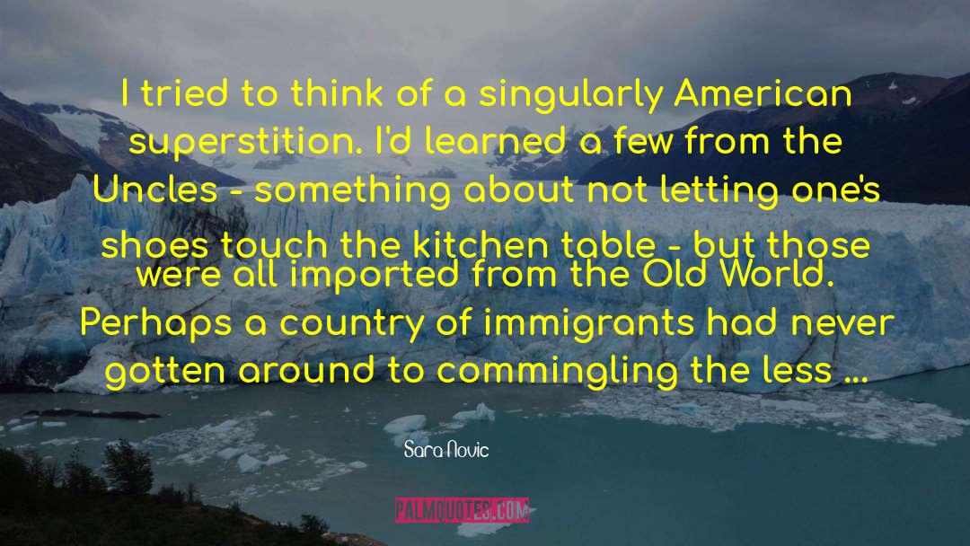 Irish Immigrants To America quotes by Sara Novic