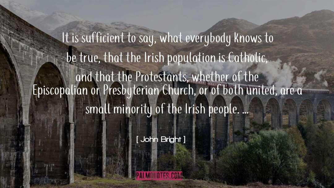 Irish People quotes by John Bright