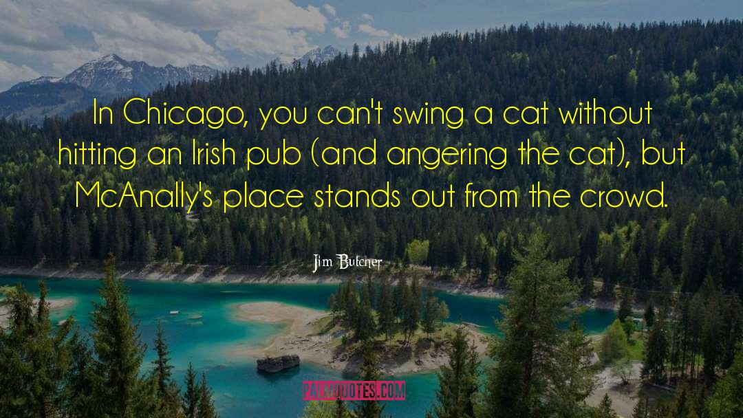 Irish Pub quotes by Jim Butcher