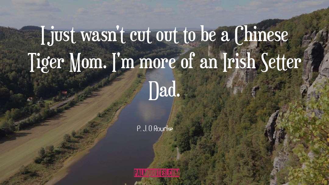 Irish quotes by P. J. O'Rourke