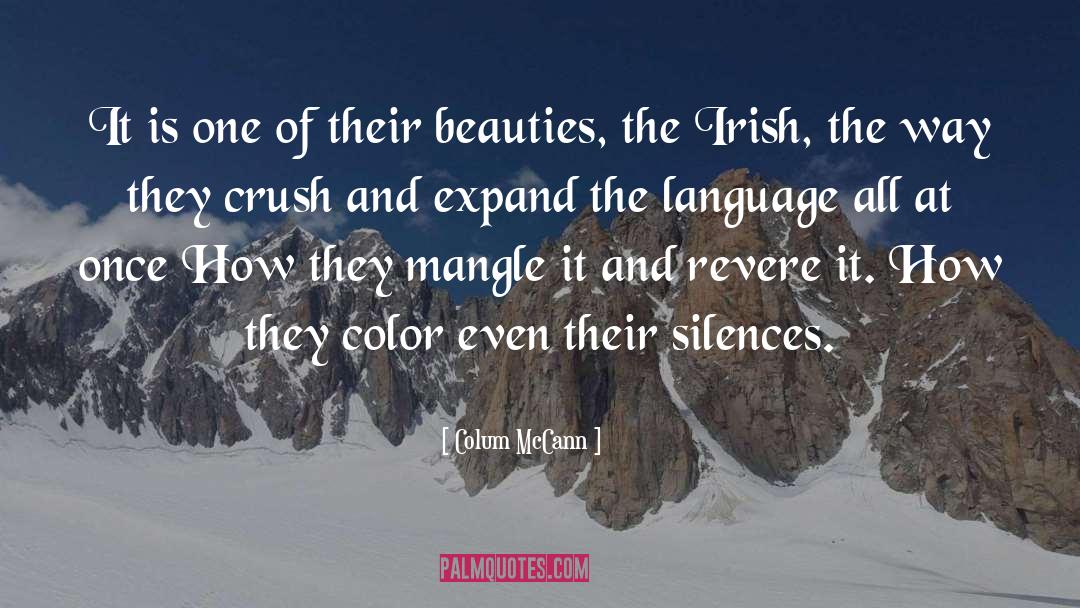 Irish quotes by Colum McCann